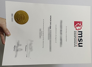Management & science university diploma, MSU diploma