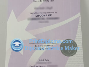 Carrick Institute of Education diploma