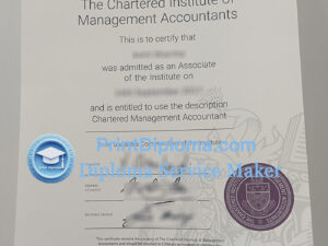 Chartered Institute of Management Accountants Certificate, CIMA Certificate