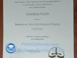 Trent University diploma